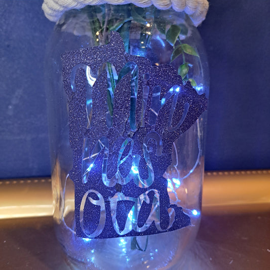 Minnesota Jar - Navy Blue Glitter Vinyl